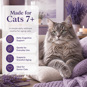 Feline Neuro-Support Soft Chews : Formule Cognitif Avancée <span class=keywords><strong>avec</strong></span> Crinière <span class=keywords><strong>de</strong></span> <span class=keywords><strong>Lion</strong></span> et Oméga-3 pour le Soutien <span class=keywords><strong>de</strong></span> la Mémoire et <span class=keywords><strong>de</strong></span> la Concentration chez les Chats Seniors - Product Image 3