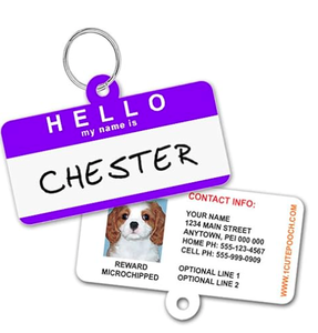 Pendentifs d'émotion amusants pour animaux de compagnie : colliers expressifs pour l'entraînement comportemental des chats et des chiens - Product Image 5