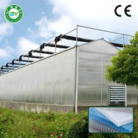 Grote polycarbonaat kasconstructie voor de landbouw met gegalvaniseerd stalen frame en externe schaduwafwerking
