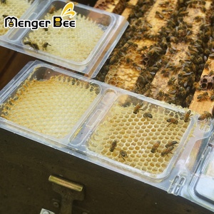 Ensemble complet Menger Bee 250g, boîtes en PET transparentes à 8 compartiments, état neuf, conteneur à miel, utilisation en apiculture, Langstroth 1 - Product Image 1