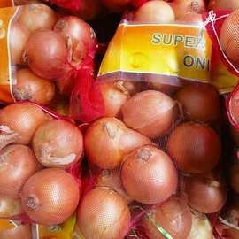 Lạnh Lưu Trữ Tươi Màu Đỏ Trắng Và Màu Vàng Hành Với Trung Quốc Giá Cho Bán - Product Image 3