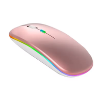 Souris sans fil rechargeable OEM avec lumières LED RVB, mode double BT pour tablette et ordinateur portable, design silencieux et fin, charge sans fil