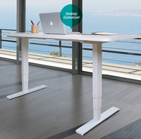 Hauteur réglable 2 pieds 690-1160mm bureau debout à moteur unique cadre de bureau électrique debout