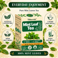 Teh Daun Peppermint Murni Langsung dari Pabrik, 90g 30 Sachet, Penunjang Pencernaan, Pereda Kembung, Teh Herbal Grosir