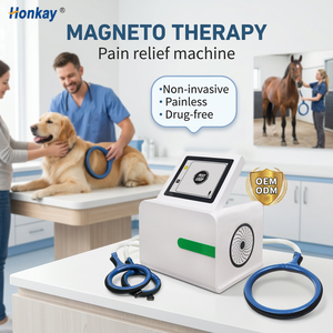 Máquina de Terapia PEMF para Mascotas, Diseño ODM/OEM, Alivia la Hinchazón y la Tensión Muscular, Dispositivo Magnético PEMF para Clínicas Veterinarias - Product Image 1