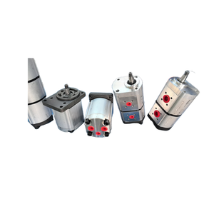 Pompe hydraulique à engrenages Fuge Paver WP03B1B048R23QA166N Pompe à engrenages haute pression WP300B WP03B WP09A WP15A WP12A Série - Product Image 1