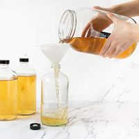 Kit de démarrage Kombucha pour la fermentation à domicile-Kit de brassage et de fermentation à domicile avec enveloppe chauffante et contrôle de la température