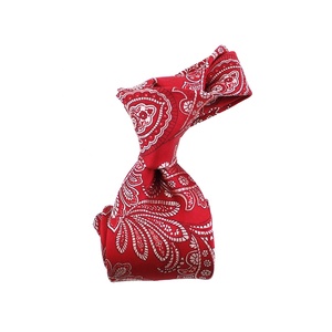 Bonne Qualité Chine En Gros À La Main De Mariage Personnalisé Cravate 100% Soie Jacquard Tissé Rouge Argent Cravates pour Hommes Paisley - Product Image 2