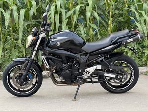 Suzuki GSF1200 400cc Moto Stradale a Benzina Premium con Velocità Massima >80km/h - Product Image 6