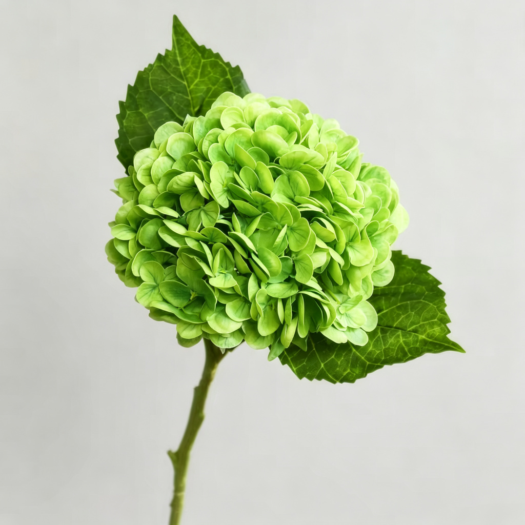 Verde scuro
