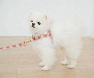 INS 귀여운 고양이 애완 동물 하네스 야외 산책 조절 개 목걸이 및 가죽 끈 패션 사용자 정의 개 하네스 세트 - Product Image 6