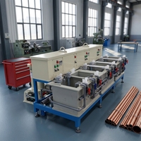 Machine de placage nickel-chrome, cuve de placage argenté pour métaux, machine de galvanoplastie à l'étain, simple d'utilisation
