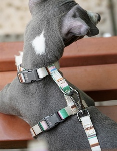 Nuevo estilo, moda de lujo, respetuoso con el medio ambiente, fácil de caminar, perro, gato, estilo H, juego de arnés y correa para perros, cuerda de plomo ajustable de 1,2 m - Product Image 4