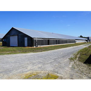 Structure en acier préfabriqués bâtiment de ferme de volaille hangar de poulet poulailler conception - Product Image 3