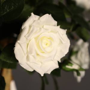 Vente en gros <span class=keywords><strong>de</strong></span> roses en soie pour fête <span class=keywords><strong>de</strong></span> mariage Petites fleurs Arbre floral artificiel pour décoration <span class=keywords><strong>de</strong></span> mariage - Product Image 5