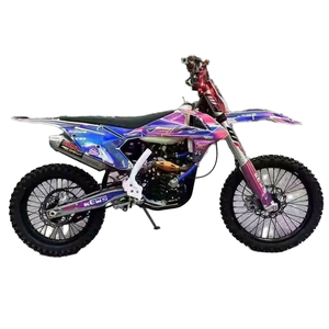 Motocicleta de Cross con Motor sin Escobillas de 300cc para Carreras - Product Image 1