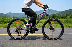 <span class=keywords><strong>VTT</strong></span> en aluminium dégradé violet |   Vélo L-Twoo 27 vitesses, freins hydrauliques, moyeux à 120 bruits, pneus Kenda pour la ville et le <span class=keywords><strong>VTT</strong></span> - Product Image 5