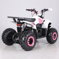Tao Motor Vente Chaude Quad pour Enfants 110cc 4 Temps 1000W Automatique à Essence Transmission par Chaîne avec CE EPA