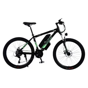 2024 Custom Carbon Fiber Bike 26-inch 350W 36V Mountain Bike Electric Road Bike