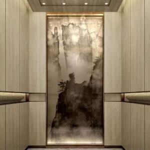 Ascenseur panoramique moderne OTIS à engrenages, ouvert sur trois côtés, capacité 400 kg, pour hôtels - Product Image 4