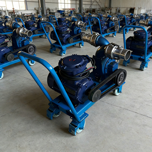 Pompe à huile antidéflagrante 380V 2-3 pouces, adaptée à l'essence, au diesel, aux huiles végétales et autres produits Wei Tuo Si 700-4Kw 380 - Product Image 1