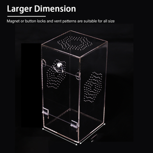 Terrario Rectangular Moderno y Ecológico de Acrílico Luby para Reptiles, Jaula de Varios Tamaños 20x20x30cm para Ranas y Arañas - Product Image 5