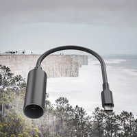 Câble adaptateur Mini USB-C vers DC femelle - Gaine en PVC étanche, conducteur en cuivre pur pour téléphones mobiles et batteries externes