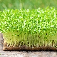 Tissu non tissé en fibre de jute biodégradable à haute rétention d'eau