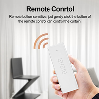 Tuya Moderne Intelligent Simple Double Rideau Électrique En Alliage De Métal Piste Mini Moteur Type Caché Support Alexa Contrôle