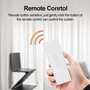 Tuya moderno inteligente Individual Doble cortina eléctrica pista de aleación de Metal Mini Motor tipo oculto soporte Alexa Control - Product Image 4