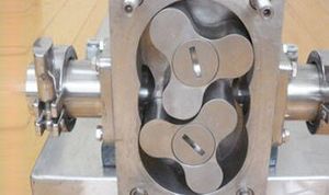 ปั๊มโรตารี่แบบลูกสูบสเตนเลสสตีล พร้อมประสบการณ์การผลิต 20 ปี ปั๊มอุตสาหกรรมแนวนอน รุ่น ZB3A Rot - Product Image 4