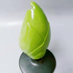 Modelo de Germen de Semilla de Planta, Ayuda Didáctica 3D para la Enseñanza de Botánica y Biología - Product Image 2