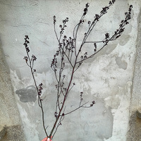 Cadre mural d'art floral personnalisé fait main avec fleurs préservées, bouquet de roses violettes, décoration pour la Saint-Valentin, mariage, maison, style européen