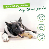 Jouets à mâcher pour chiens C4P GTT072, modernes, classiques, indestructibles, en bois naturel, saveur poulet, forme d'os, écologiques, vente en gros