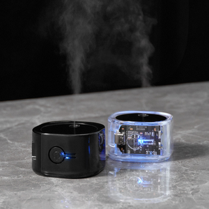 Atomizador Nano Pequeño de Plástico Eléctrico Antiestático para Semillas - Product Image 6