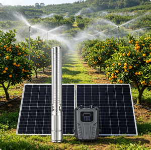 CE Certified High Efficiency High Pressure Stainless Steel Manual Control Solar <b>Submersible</b> <b>Pump</b> for Garden Irrigation - Product Image 1