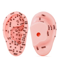 Modèle d'entraînement de Classe I LuoYaShanChuan en PVC, modèle des zones d'acupuncture et de réflexologie auriculaire 13CM, fabriqué en Chine pour la thérapie auriculaire