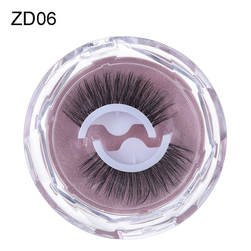 ZD06