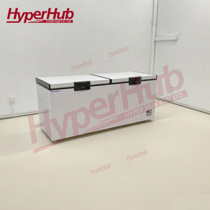 450-1100l Ngân Sách ngực mát-20 ° C nhà và thương mại giải pháp lý tưởng giá cả phải chăng tủ đông cho thực phẩm đông lạnh lưu trữ - Product Image 3