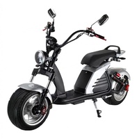 Scooter électrique Citycoco européen à succès avec certificat EEC/COC, 3000W haute puissance, pneus larges de 12 pouces
