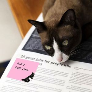 450 Sheets Cute Black White Cat Pattern Self-Adhesive Stickers Set Assorted Peeking Cat Designs Memo Pad DIY <b>Journal</b> - Product Image 6