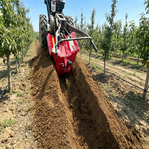 Trattore Agricolo 20HP 2WD ad Alta Produttività con Carrello - Product Image 2