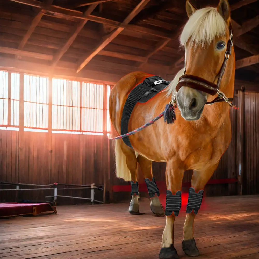 Flexibele Rode Lichttherapie Paardenpad Voor Paard Nabij-Infrarood Huisdier Fysiotherapie Riem Hoef Pijnverlichting Paardenverzorgingsproduct