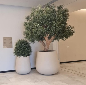 Grand olivier artificiel <span class=keywords><strong>en</strong></span> fibre <span class=keywords><strong>de</strong></span> verre avec tronc <span class=keywords><strong>en</strong></span> <span class=keywords><strong>acier</strong></span> galvanisé, taille 2-5m, durée <span class=keywords><strong>de</strong></span> vie 5-8 ans, feuilles <span class=keywords><strong>en</strong></span> plastique, pour usage domestique ou hôtelier - Product Image 1