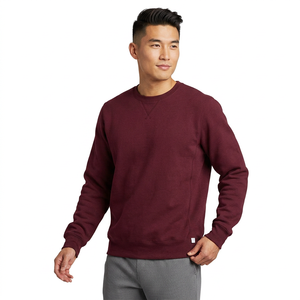 100% Cotton Hoodies Blank <b>Thick</b> <b>Fleece</b> Heavy Weight Oversized Hoodies Custom Print Logo Men's Hoodies & Sweatshirts - Product Image 1