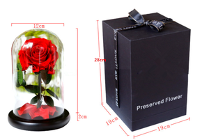 <span class=keywords><strong>Rosas</strong></span> <span class=keywords><strong>Preservadas</strong></span> <span class=keywords><strong>en</strong></span> Cúpula de Cristal, Más Vendidas, Disponibles <span class=keywords><strong>en</strong></span> Todos los Colores - Product Image 5