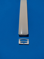 Tube en silicone néon flexible OEM ODM 20-*10mm, bande néon
