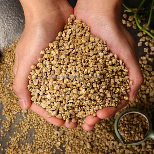 Vendita calda di alta qualità all'ingrosso oro maifan pietra maifan polvere di pietra maifan pietra medica <span class=keywords><strong>per</strong></span> succulenta - Product Image 5