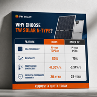 Panel Surya 730W 750W 800W Tipe-N Bifasial Half-cut Kaca Ganda TW Solar Efisiensi Tinggi Garansi 30 Tahun Modul PV
