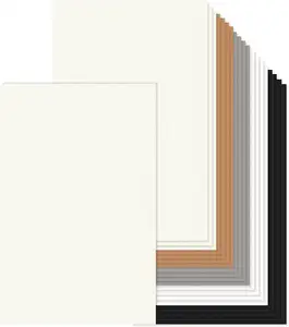 11x17 इंच बड़े रंगीन कार्डस्टॉक कागज सफेद हाथी काले भूरे रंग की 20 शीट 80lb ए 3 सौंदर्य रंग कार्ड स्टॉक